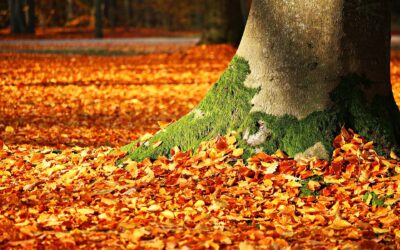 Change vs transformation: 3 easy tips to know the difference