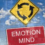 Emotional mind and decision-making
