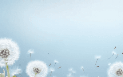 Understanding Supervision: 5 Important reasons why therapists need it